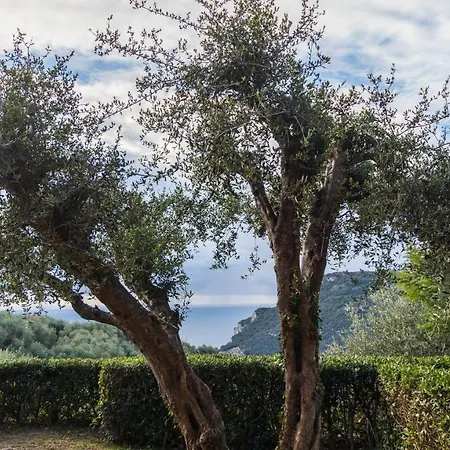 Il Borgo Apartment